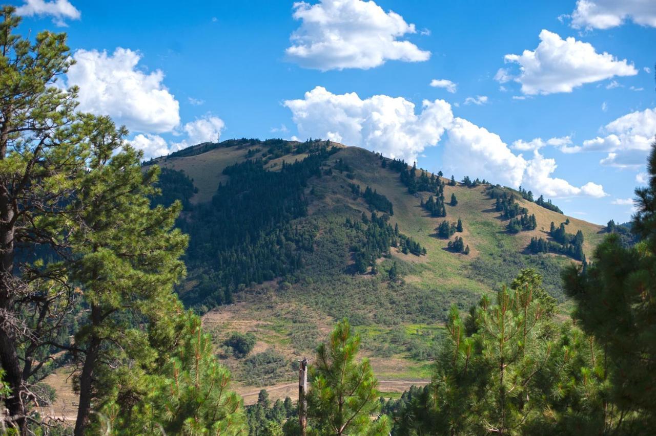 Huge Ruidoso Retreat With Game Room, Pool, 2 Balconies, 2 Kitchens - Sleeps 17! Εξωτερικό φωτογραφία